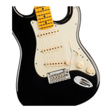 Fender American Professional Stratocaster Electric Guitar, Maple Neck (Black)