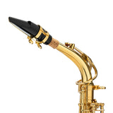 Silber & Co. Eb Alto Saxophone with Lacquer Finish and Carrying Case