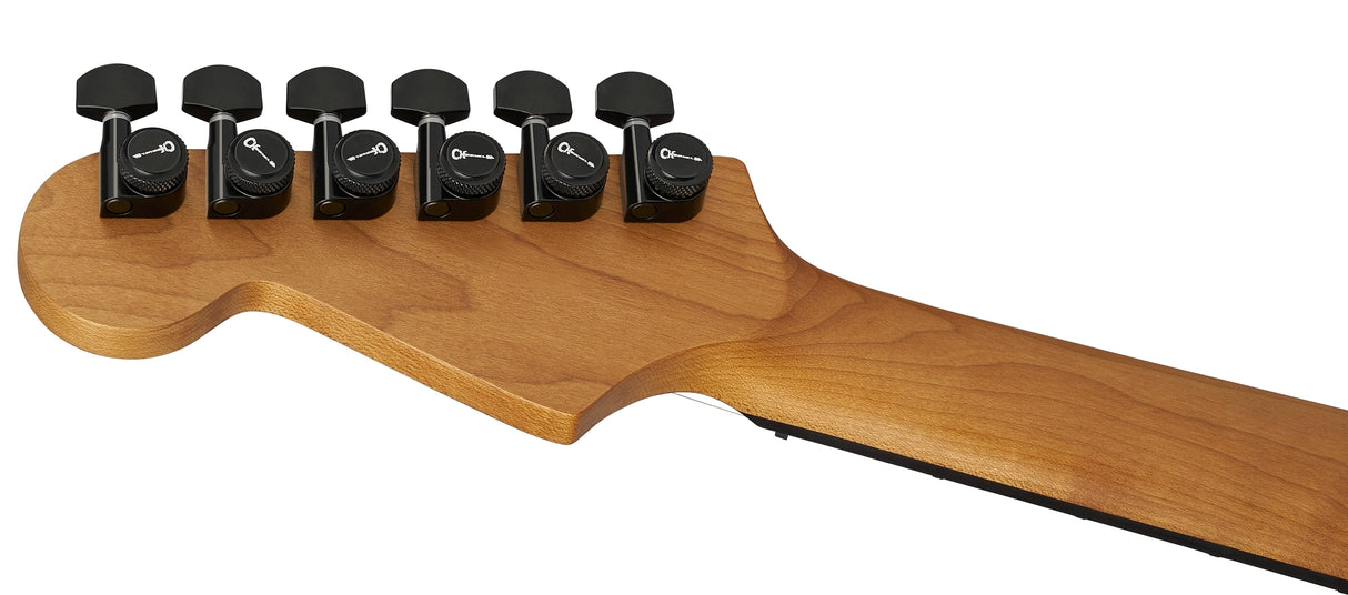 Charvel Pro-Mod Plus Dinky DK24 HH HT EB Electric Guitar with Ebony Fingerboard (Black Ash)