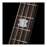 Spector ICON NS-2 Neck Through 4-String Electric Bass Guitar (Black Stain)