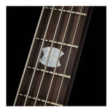 Spector ICON NS-5 Neck Through 5-String Electric Bass Guitar (Black Stain)