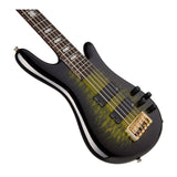 Spector ICON NS-5 Neck Through 5-String Electric Bass Guitar (Haunted Moss)
