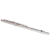 Silber & Co. C Flute (Silver) with 16 Closed Keys and Carrying Case - 2