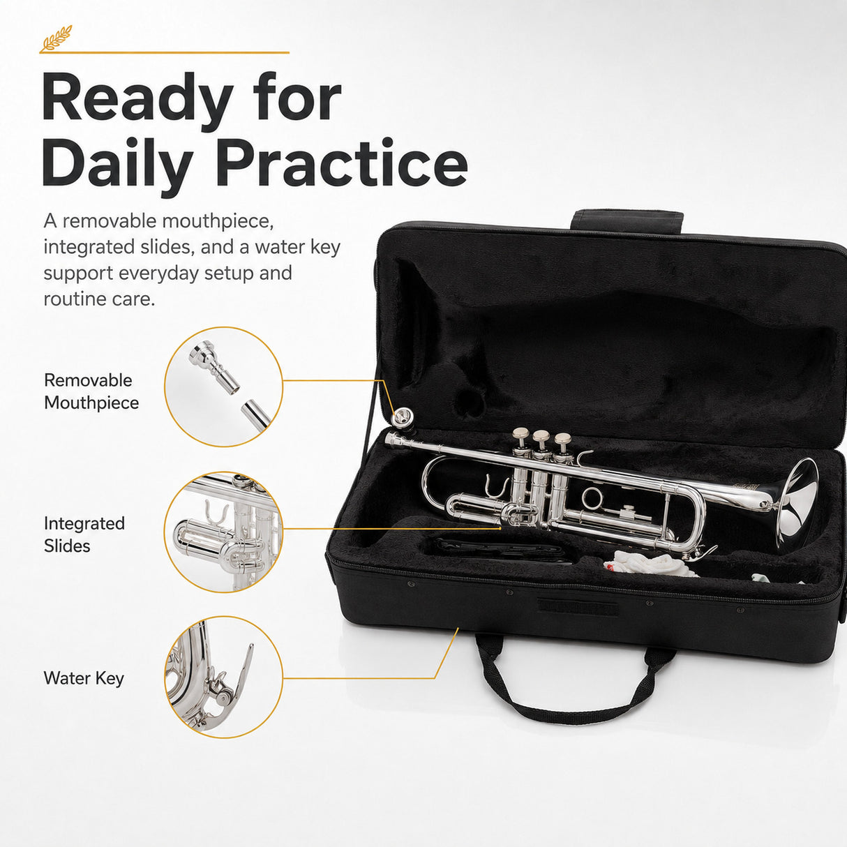 Silber & Co. Bb Trumpet (Silver) with 3 Piston Valves and Carrying Case Infog5