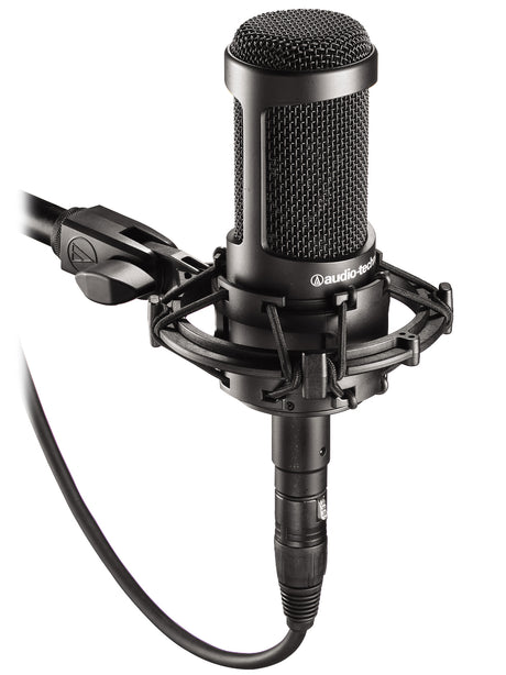 AT2035 Mic