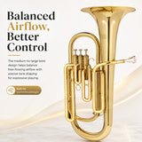 Silber & Co. Bb Baritone Horn Lacquer - Info3