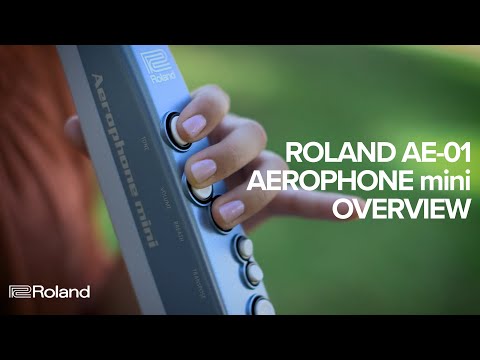 Roland AE-01 Aerophone Mini Compact Wireless Digital Wind Instrument (Blue)