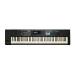 Roland JUNO-DS 88-Key Battery Powered Ivory Feel-G Weighted Action Mobile Synthesizer Keyboard