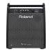 Roland PM-200 180-Watt Compact Electronic V-Drum Set Monitor with Versatile Onboard Mixing