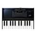 Roland K-25M 25-Key, Velocity-Sensitive, Boutique Module Dock USB MIDI Portable Keyboard, 12-Inch