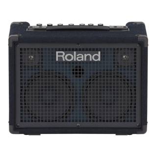 Roland KC-220 30-Watt Battery-Powered Onboard Mixing Stereo Keyboard Amplifier with Metal Jacks