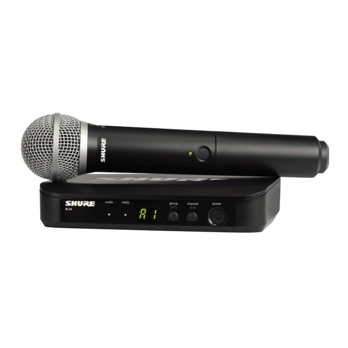 Shure BLX24/PG58 Wireless Vocal System with H10 Frequency Band, Swivel Adapter, and Thread Adapter